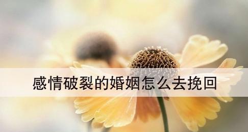 婚姻破裂了，还能挽救吗？（女人必看的挽救婚姻生活方法，从这个开始——自我反省）