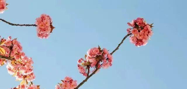 如何以射手座的方式挽回白羊座？（学会掌握挽回技巧，重燃爱情的火花）