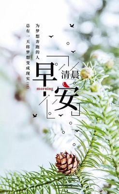 早安情话（让你的一天从早安情话开始）