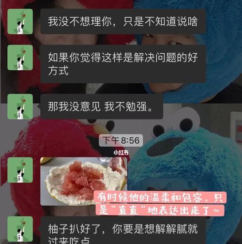 冷静理性，理性沟通——如何有效解决情侣吵架后的问题（当恋人变成敌人——情侣吵架是需要面对的现实）
