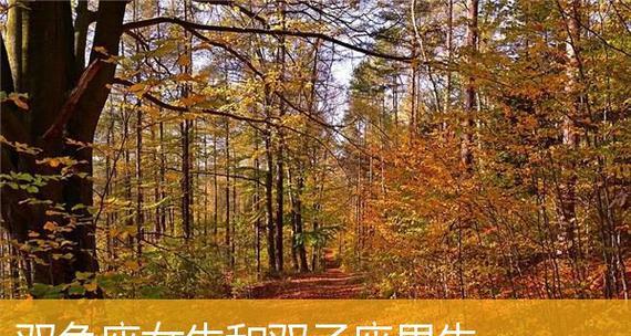 星座配对指南——12星座女生与男生幸福相伴的秘诀（掌握星座特点，找到适合你的那个他）