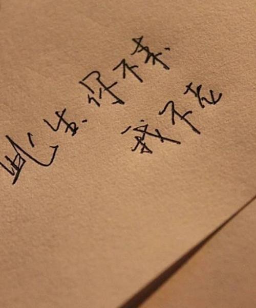 如何以想念对方的方法挽回失去的爱情（用心、真诚、行动，让爱重新燃烧）