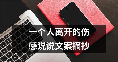 挽回前任，感受伤感的爱情故事（一个人的努力，一段爱的回忆）