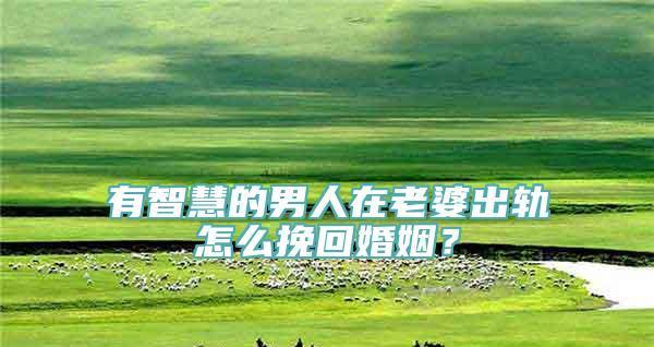 如何挽回婚姻（重建信任的关键在哪里？如何处理情感危机？）