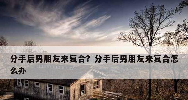 建立友谊的秘诀和技巧（建立友谊的秘诀和技巧）