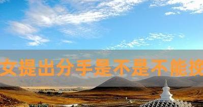 男生提出分手，女生没有挽回，该怎么办？（分手原因、情感成长、重新振作、寻找新的方向）